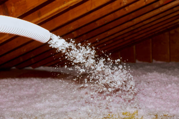 Best Residential Insulation in Larkspur, CA